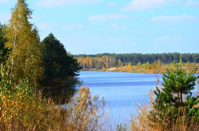 Озеро Скляне поблизу села Білятичі Сарненського району