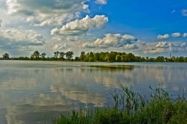 Сьогодні - екватор літа: прислів'я та прикмети про липень | ОГО
